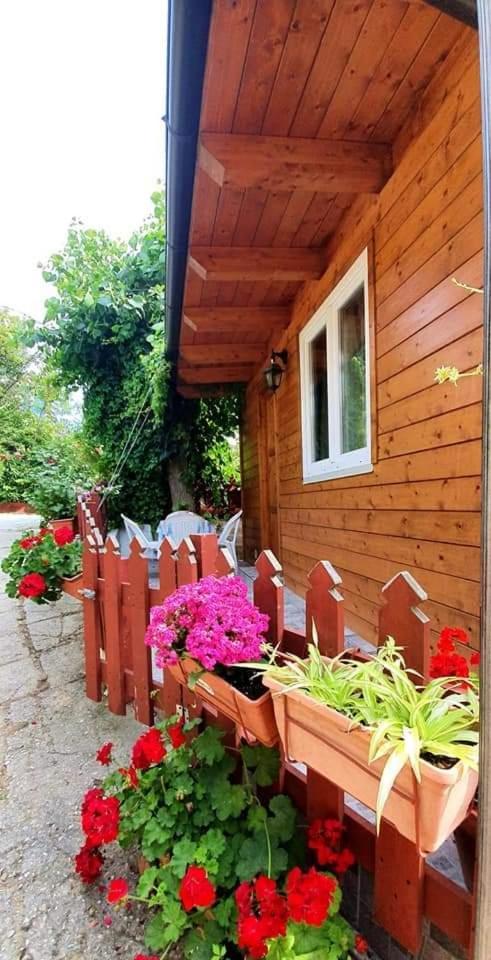 Hotel Camping Onda Azzurra Ortona Zewnętrze zdjęcie